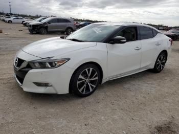  Salvage Nissan Maxima