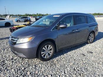  Salvage Honda Odyssey