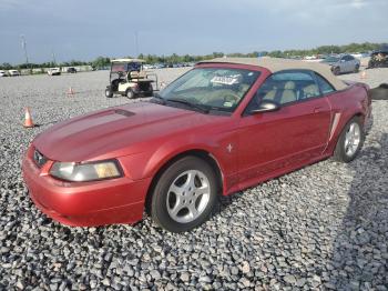  Salvage Ford Mustang