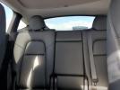 Tesla Model Y Image 7