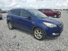 Ford Escape Titanium Image 5