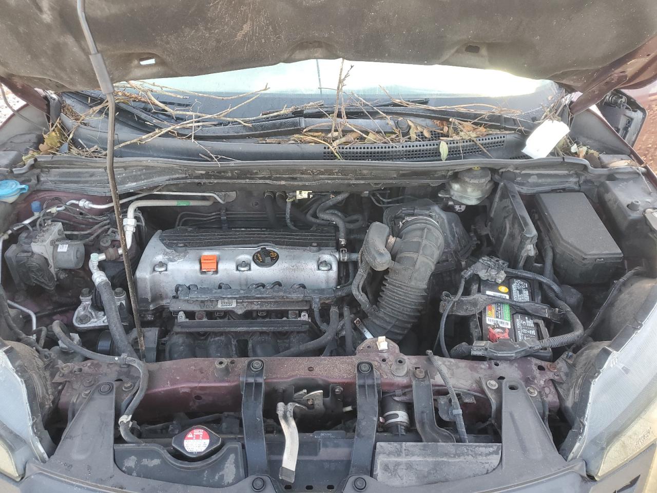 Honda Crv Exl Image 5