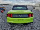 Ford Mustang Image 6