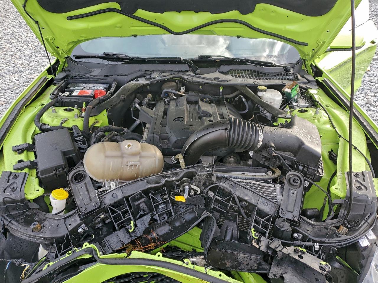 Ford Mustang Image 13