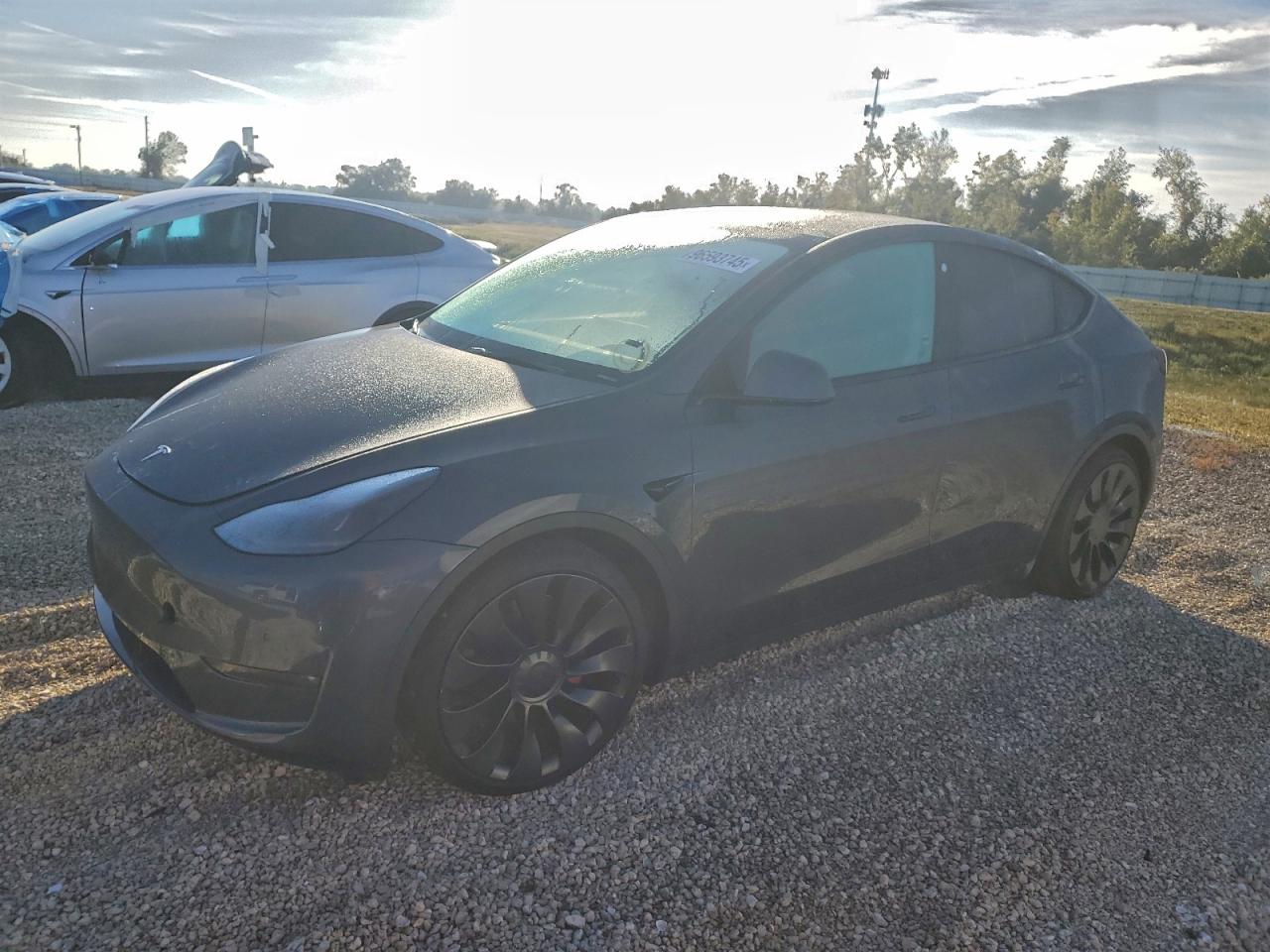 Tesla Model Y Image 1