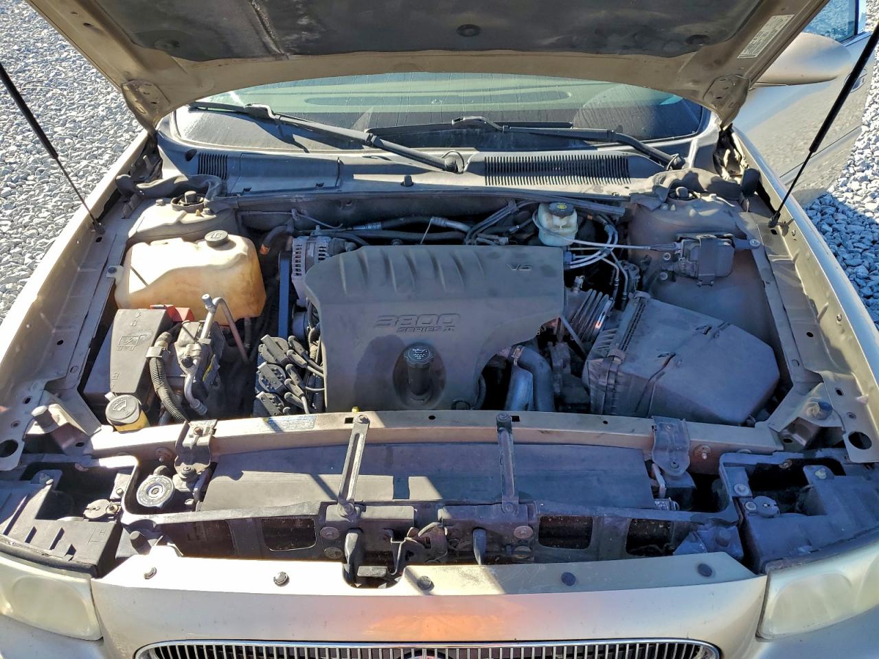 Buick LeSabre Custom Image 7